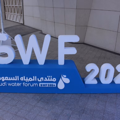 SWF 2024